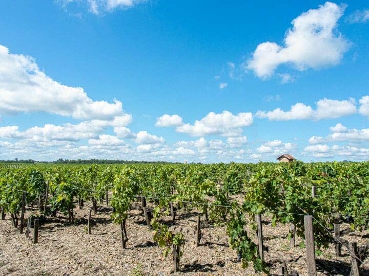 Route des vins du médoc