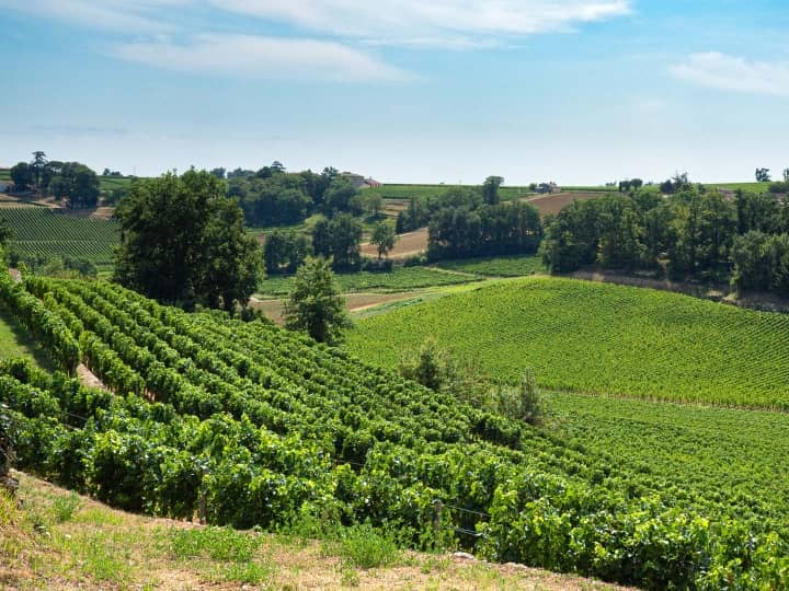 Chateaude St Emilion