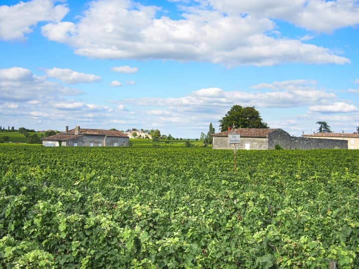 Vignoble de St Emilion
